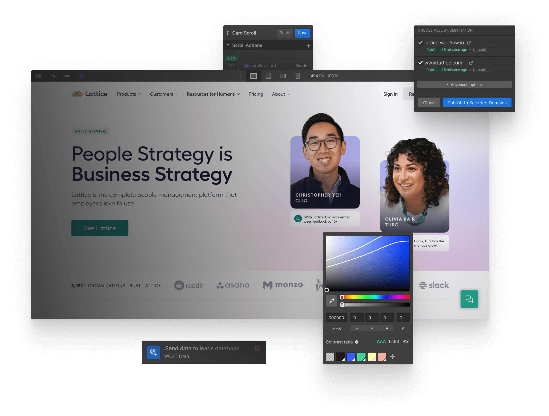 webflow screenshot